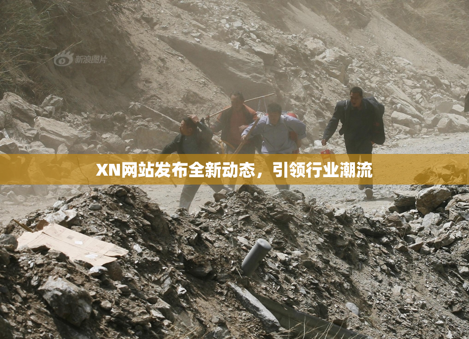 XN网站发布全新动态，引领行业潮流