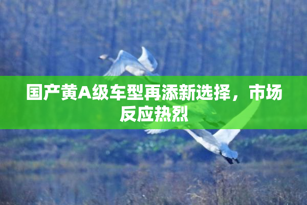 国产黄A级车型再添新选择，市场反应热烈