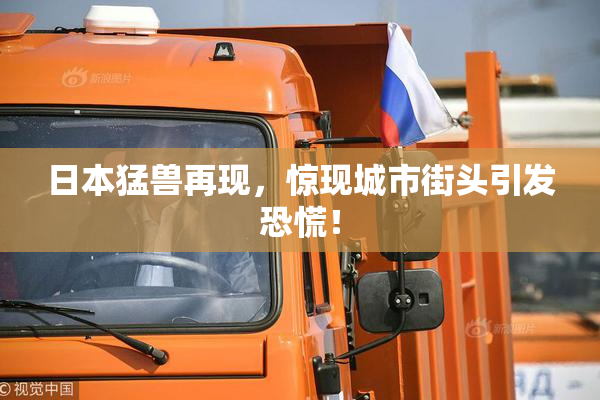日本猛兽再现，惊现城市街头引发恐慌！