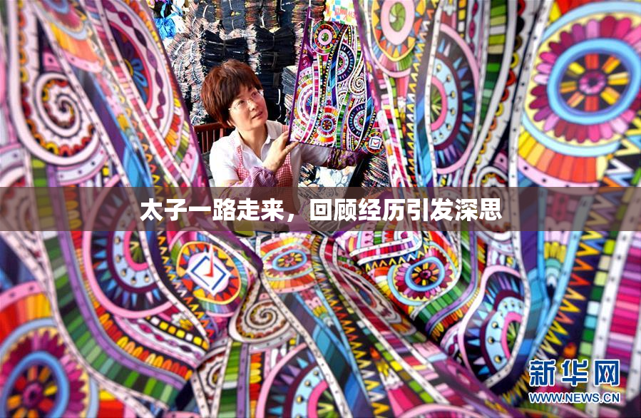 太子一路走来，回顾经历引发深思