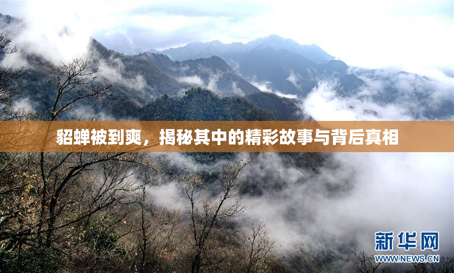 貂蝉被到爽，揭秘其中的精彩故事与背后真相