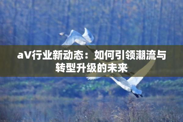 aV行业新动态：如何引领潮流与转型升级的未来
