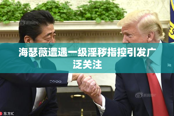 海瑟薇遭遇一级淫秽指控引发广泛关注