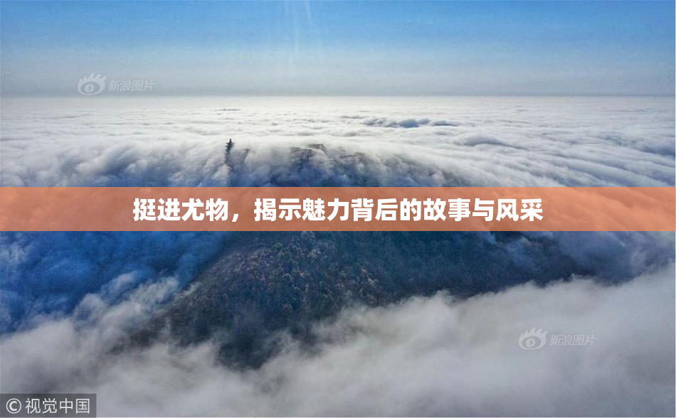 挺进尤物，揭示魅力背后的故事与风采