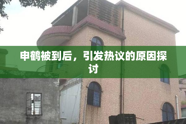 申鹤被到后，引发热议的原因探讨