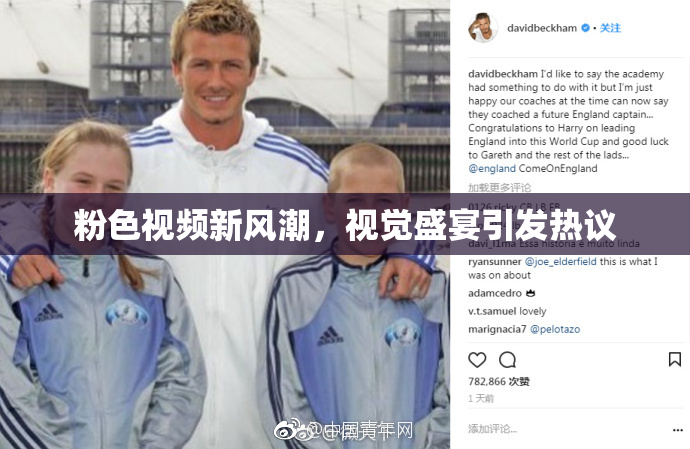 粉色视频新风潮，视觉盛宴引发热议