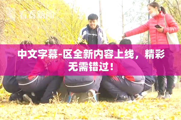 中文字幕-区全新内容上线，精彩无需错过！