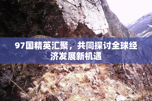 97国精英汇聚，共同探讨全球经济发展新机遇