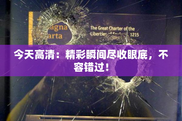 今天高清：精彩瞬间尽收眼底，不容错过！