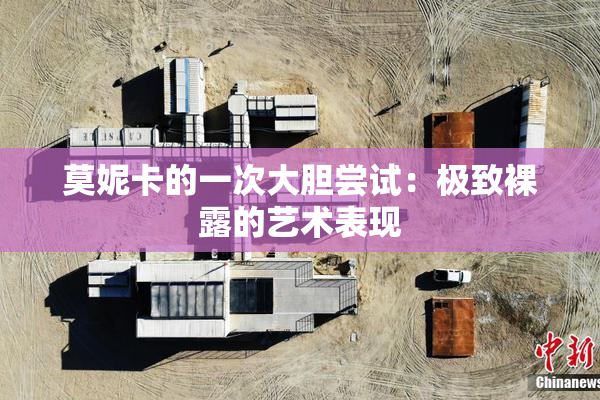 莫妮卡的一次大胆尝试：极致裸露的艺术表现