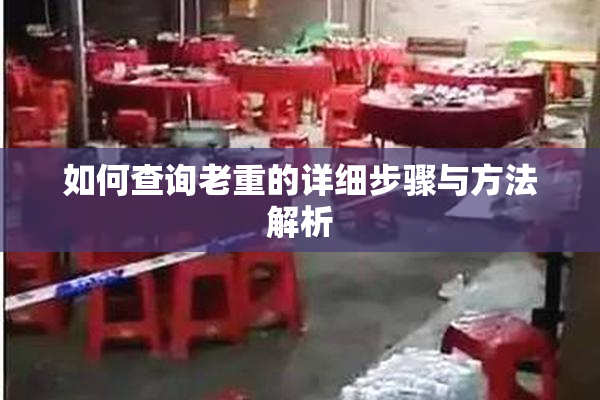 如何查询老重的详细步骤与方法解析