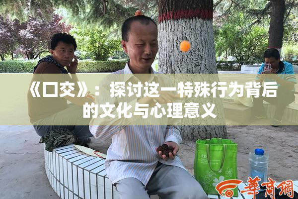 《囗交》：探讨这一特殊行为背后的文化与心理意义