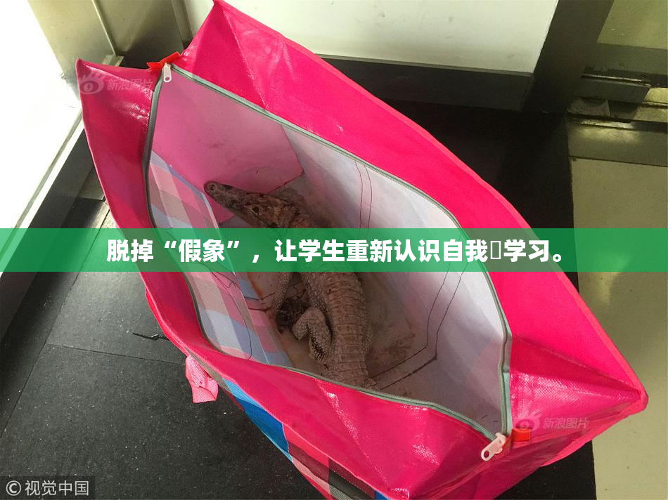 脱掉“假象”，让学生重新认识自我與学习。