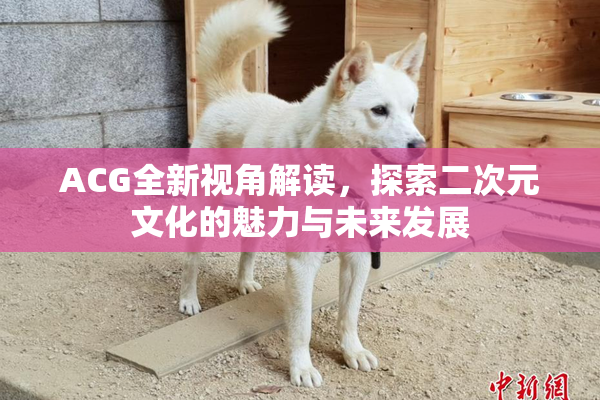 ACG全新视角解读，探索二次元文化的魅力与未来发展
