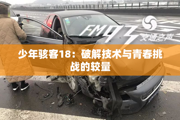 少年骇客18：破解技术与青春挑战的较量