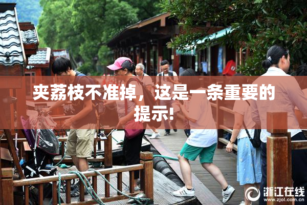 夹荔枝不准掉，这是一条重要的提示!
