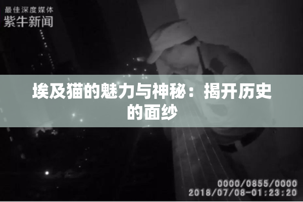 埃及猫的魅力与神秘：揭开历史的面纱