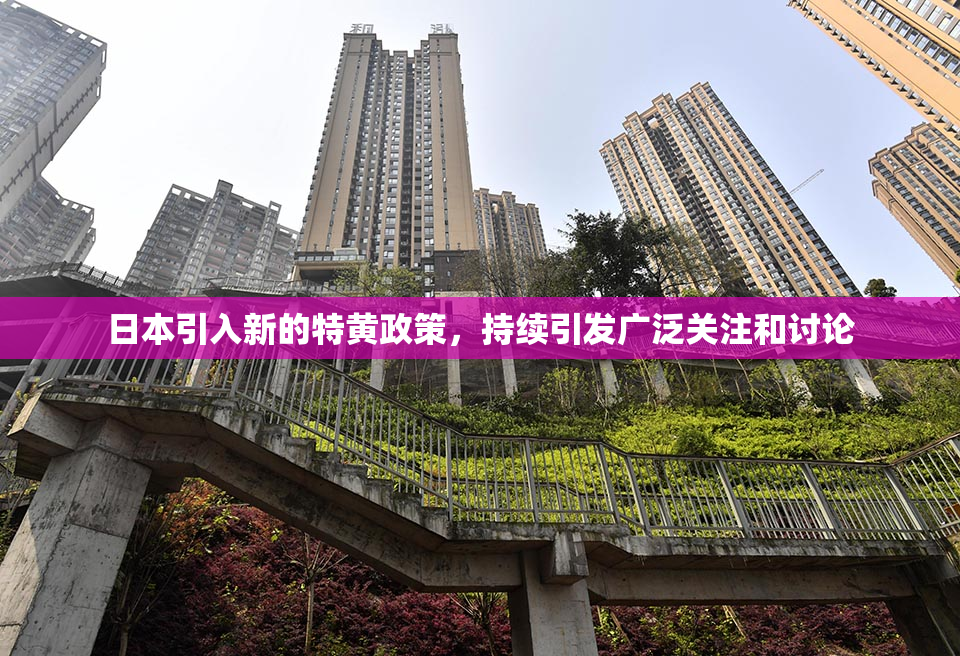 日本引入新的特黄政策，持续引发广泛关注和讨论