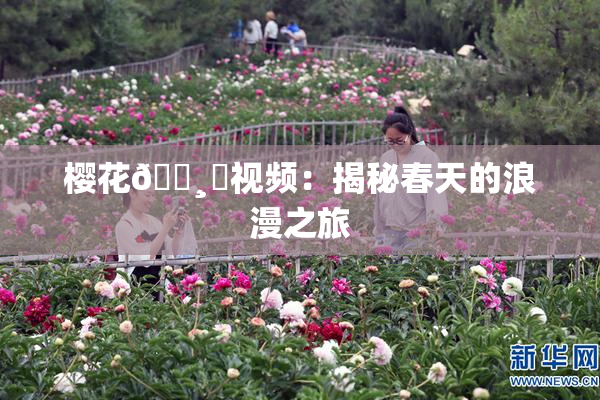 樱花🌸‌视频：揭秘春天的浪漫之旅