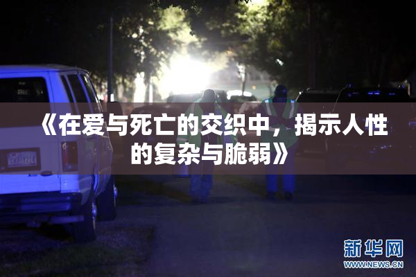 《在爱与死亡的交织中，揭示人性的复杂与脆弱》