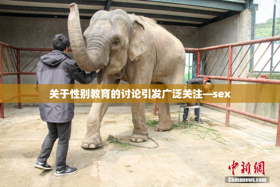 关于性别教育的讨论引发广泛关注—sex