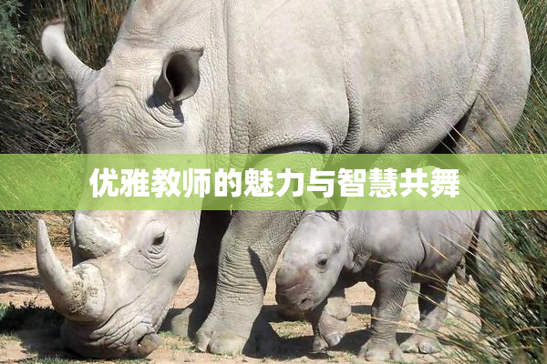 优雅教师的魅力与智慧共舞