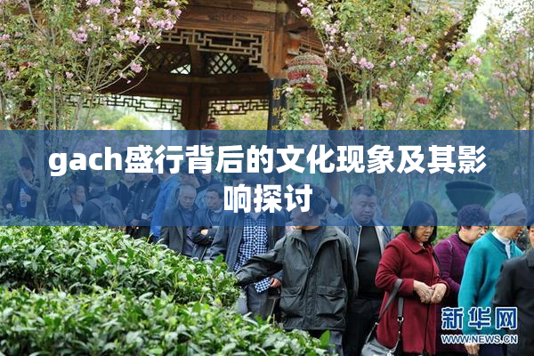 gach盛行背后的文化现象及其影响探讨