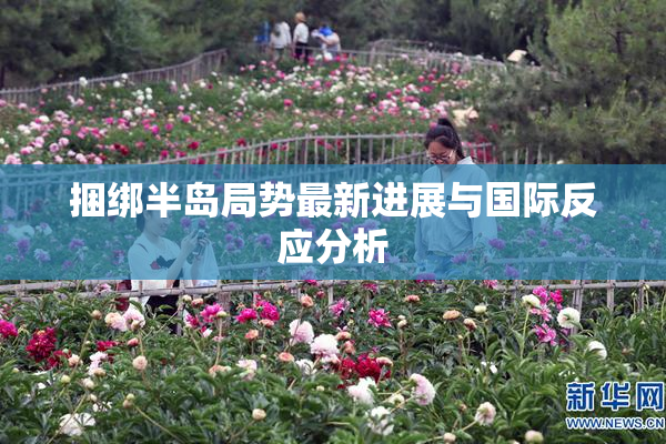 捆绑半岛局势最新进展与国际反应分析