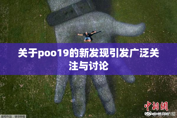 关于poo19的新发现引发广泛关注与讨论