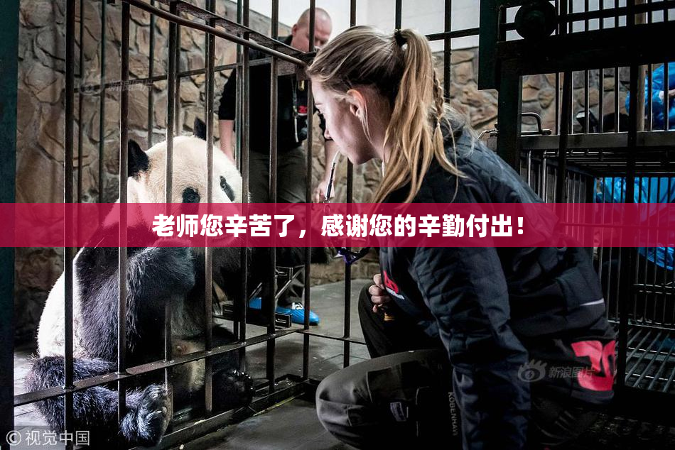 老师您辛苦了，感谢您的辛勤付出！