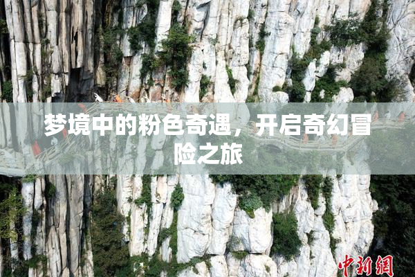 梦境中的粉色奇遇，开启奇幻冒险之旅