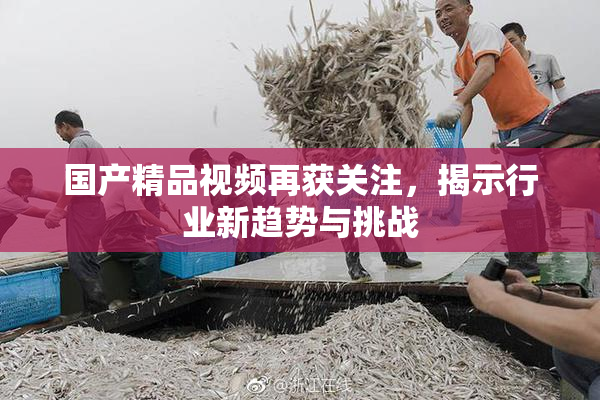 国产精品视频再获关注，揭示行业新趋势与挑战
