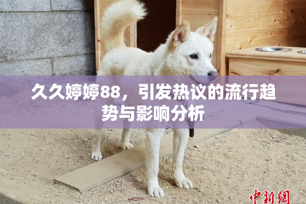 久久婷婷88，引发热议的流行趋势与影响分析