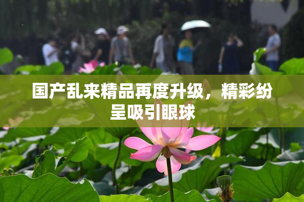 国产乱来精品再度升级，精彩纷呈吸引眼球