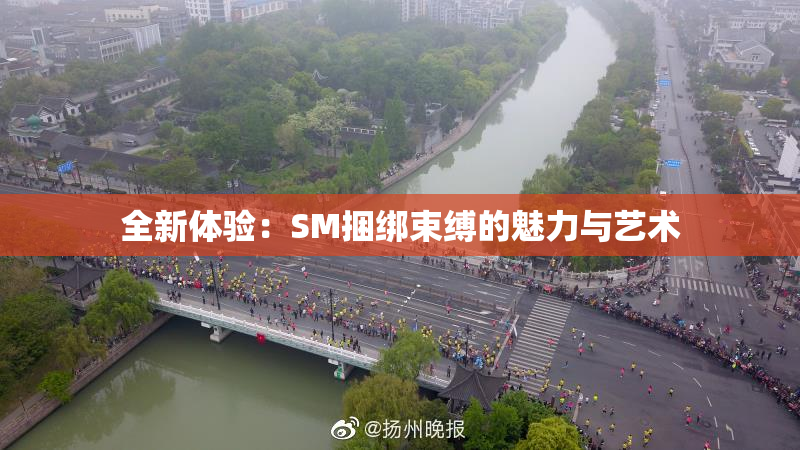 全新体验：SM捆绑束缚的魅力与艺术