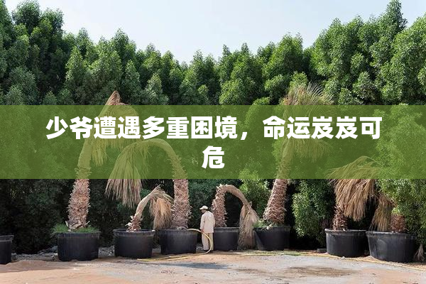 少爷遭遇多重困境，命运岌岌可危