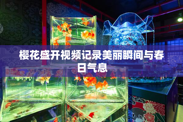 樱花盛开视频记录美丽瞬间与春日气息