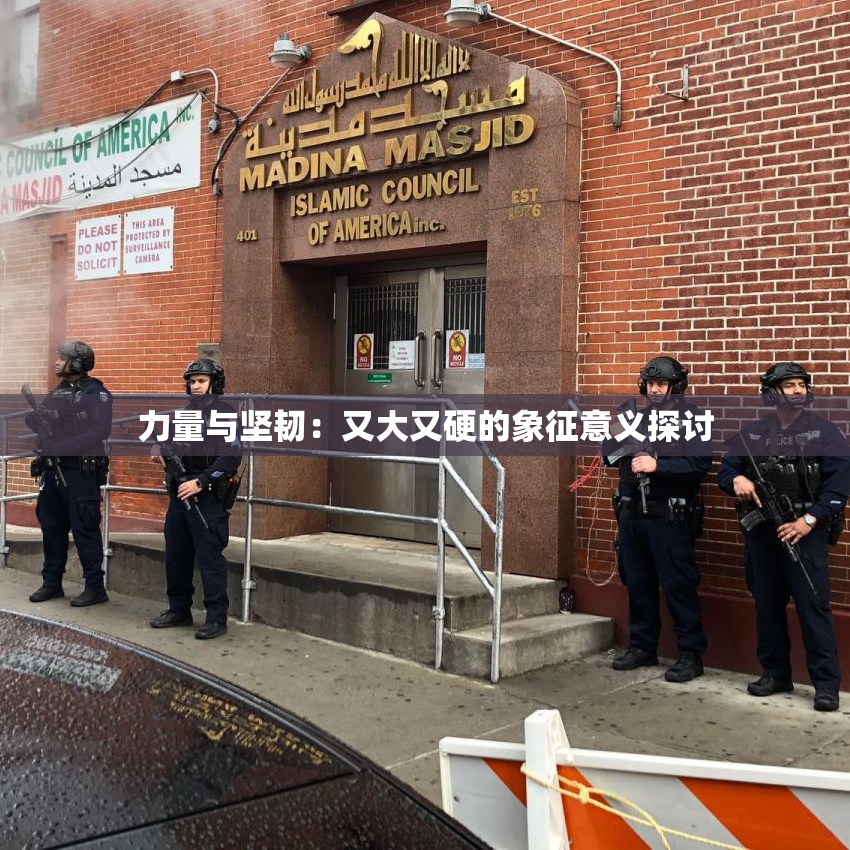力量与坚韧：又大又硬的象征意义探讨