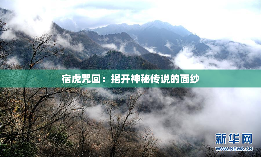 宿虎咒回：揭开神秘传说的面纱