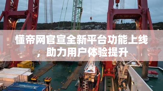 懂帝网官宣全新平台功能上线，助力用户体验提升