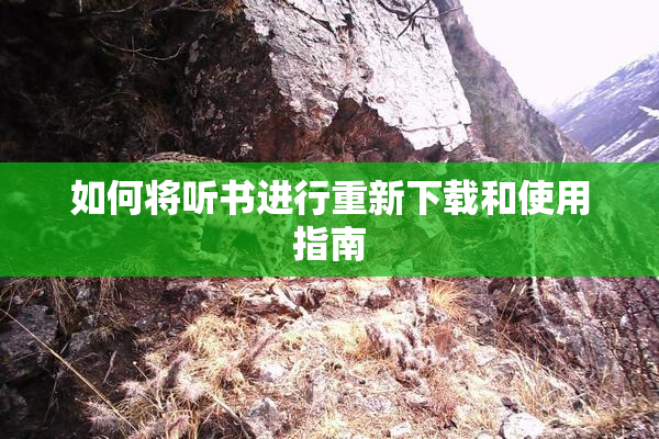 如何将听书进行重新下载和使用指南