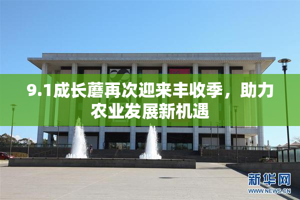 9.1成长蘑再次迎来丰收季，助力农业发展新机遇
