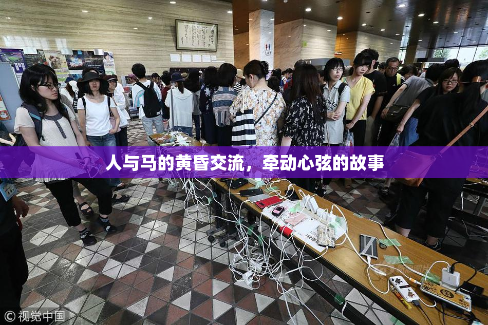人与马的黄昏交流，牵动心弦的故事
