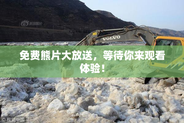 免费熊片大放送，等待你来观看体验！