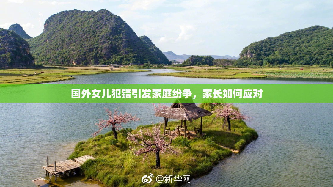 国外女儿犯错引发家庭纷争，家长如何应对