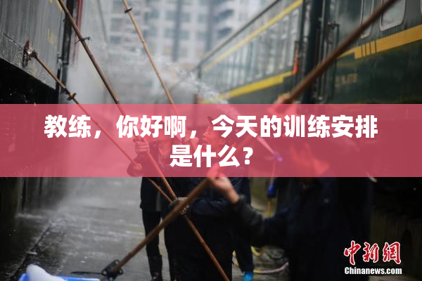 教练，你好啊，今天的训练安排是什么？