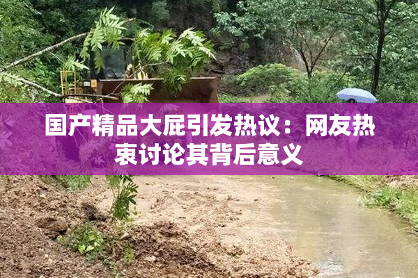 国产精品大屁引发热议：网友热衷讨论其背后意义