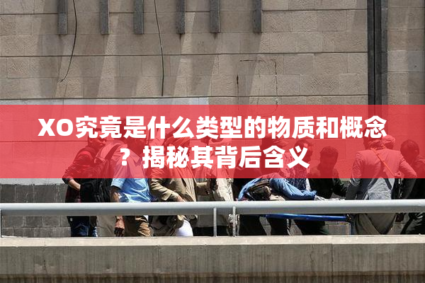 XO究竟是什么类型的物质和概念？揭秘其背后含义