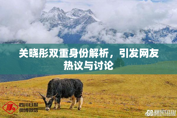 关晓彤双重身份解析，引发网友热议与讨论