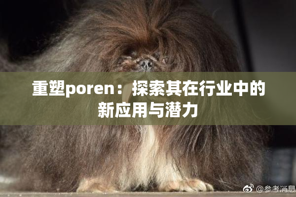 重塑poren：探索其在行业中的新应用与潜力